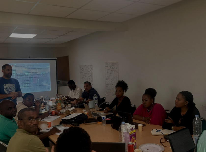 itinéraire de formation pour mieux outiller les CMV de Mayotte